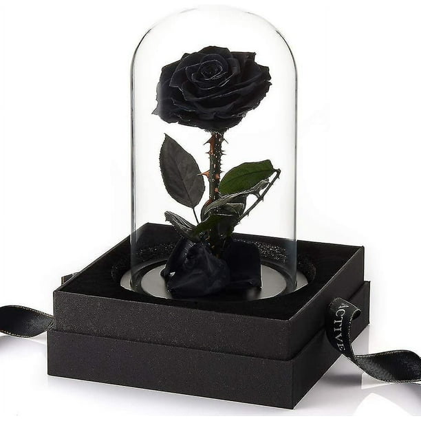 Forever Preserved - Rosa negra real preservada, regalos de cumpleaños para  mujeres, regalos de San Valentín, flor eterna negra en cristal, regalos