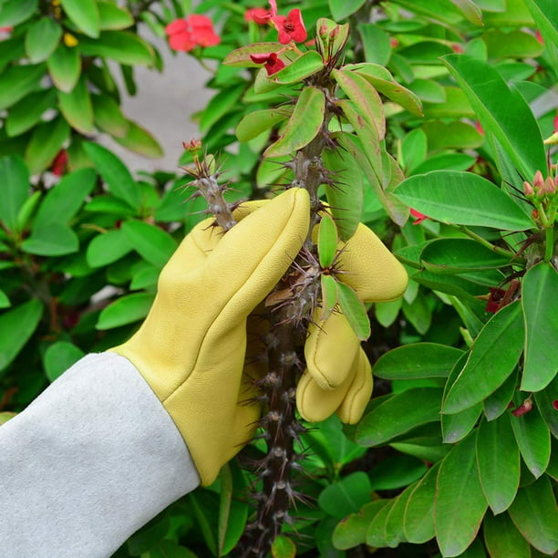 Guantes de jardinería para mujer/hombre Guantes de trabajo de cuero -  Guantes de jardinería Herramientas de jardinería de regalo Guantes  anticortes Guantes de rosas espinosas Herramientas de jardiner JAMW  Sencillez