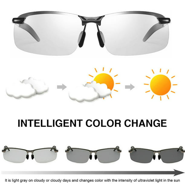 Gafas de sol deportivas polarizadas para hombre - Gafas de sol retro  Driving Shades Green