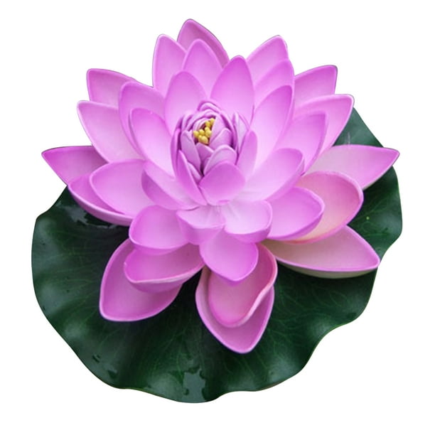 Flor de loto, características y cuidados