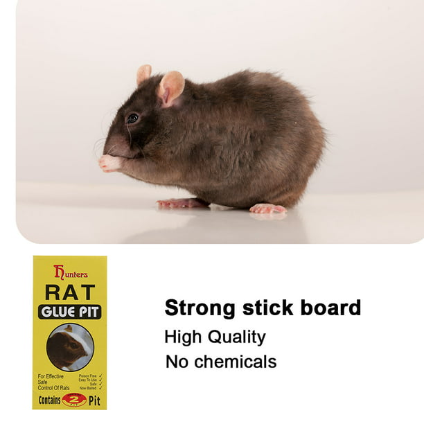 2 uds trampas de pegamento para ratones, trampa para ratas