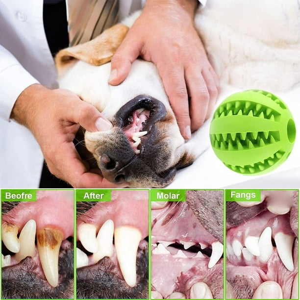 2 bolas de juguete para perros, pelota de juguete para perros, juguete de  caucho natural para perros, juguete de inteligencia dental para  entrenamiento de pelotas para perros (5 cm) Rojo Verde