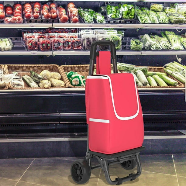 Carrito de supermercado Compras Bolsa plegable con ruedas para comestibles  y a la rodadura y bolsa extraíble - China Compras medio, carro