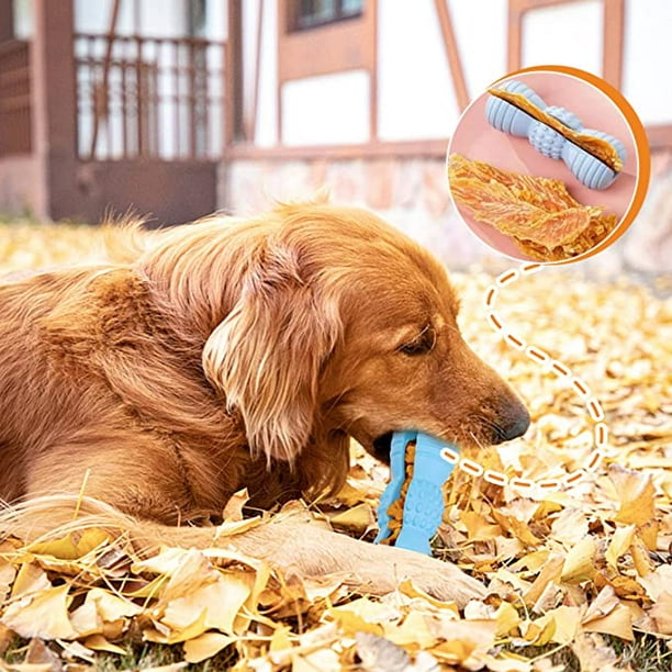 Juguetes para perros, cepillo de dientes interactivo para perros