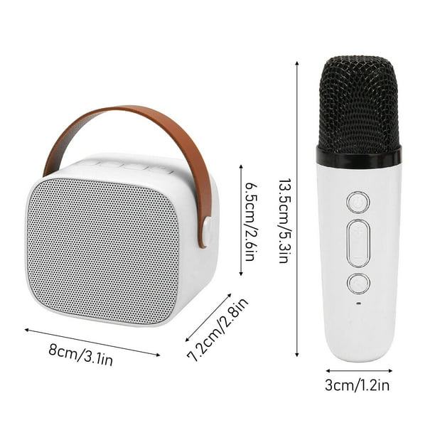 Microfonos Inalambricos Portable Con 2 En 1 Microfono Para Karaoke Y Fiestas