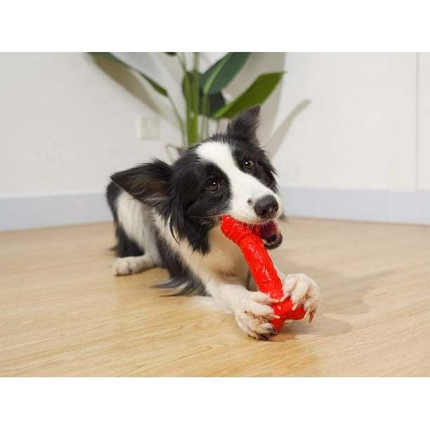 Pamlulu Juguetes para perros medianos, juguetes masticables indestructibles  para perros, juguetes resistentes para la dentición para cachorros