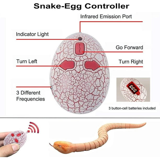Realista Control remoto Rc Serpiente Juguete Simulación de movimiento  rápido Serpiente de cascabel falsa Juguete robótico Batería Serpiente-huevo  Controlador Usb Recargable Serpiente Feliz Sencillez