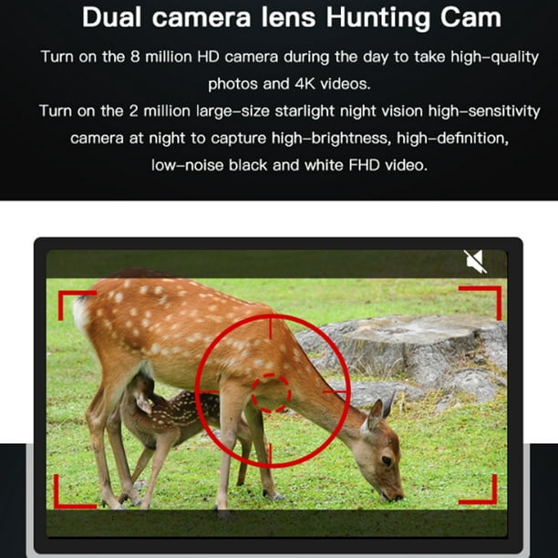 2 cámaras de vídeo al aire libre cámara de ciervos cámara cámara al aire  libre ir cámara visión nocturna caza cámara cámara caza caza cámara