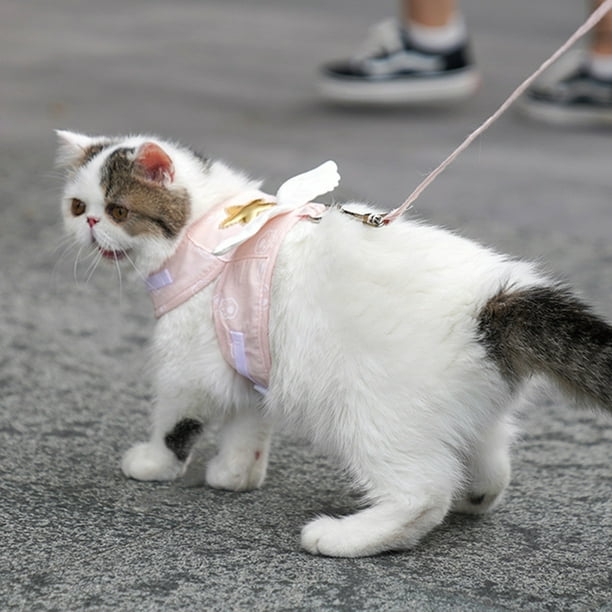 Comprar Correa chaleco arnés correa para perro transpirable antifugas  accesorios para gatos chaleco para mascotas Collar para gato arnés para gato