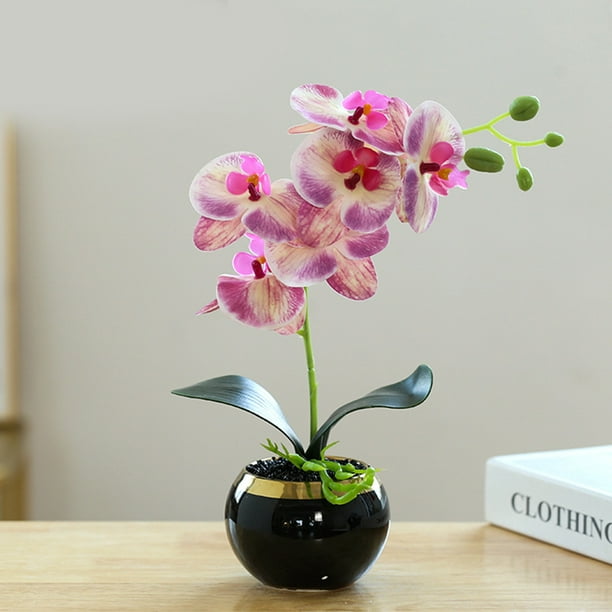  Exquisito bonsái de orquídeas artificiales con florero de  flores de orquídeas moradas falsas arreglos de poliuretano Phalaenopsis  para el hogar, oficina, mesa, fiesta, decoración elegante (color: C) :  Hogar y Cocina