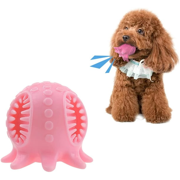 Juguetes masticables para perros, juguetes interactivos para masticar para  perros, juguetes para masticar cepillo de dientes, masticadores para