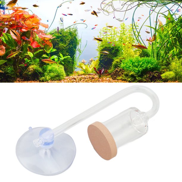 Difusor de CO2, Nano CO2 difusor de vidrio reactor para acuario plantado  tanque (difusor de CO2)