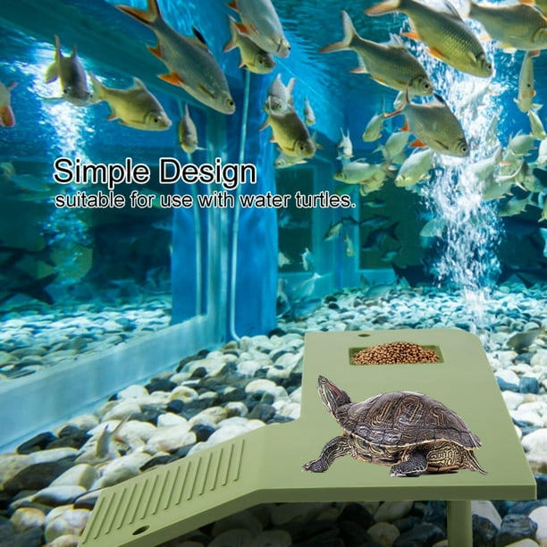 estanque para tortugas versión 4 