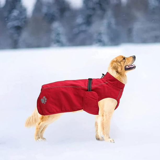 para perros Chaqueta para perros Abrigo térmico impermeable y Chaqueta de invierno ZefeiWu 8390614842670 Walmart en línea