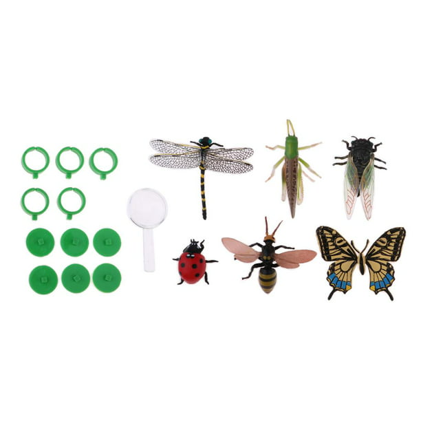 Caja de insectos de juguete