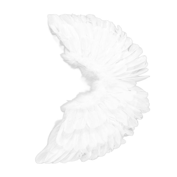 Diadema de alas de Ángel con plumas, disfraz de princesa para
