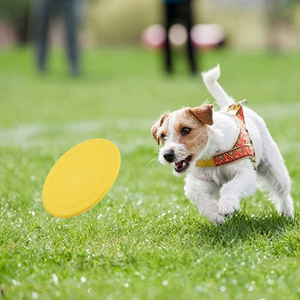 juguetes de frisbee para perros, frisbee para perros, frisbee para perros,  actividades deportivas de frisbee para animales de juego y juegos al aire  libre, adecuado para perros pequeños y medianos Shuxiu Wang