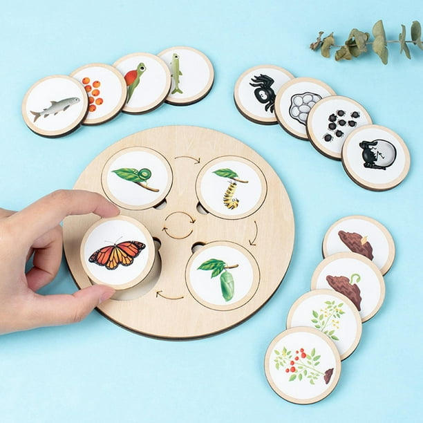 Estantería de arte Montessori: 20 bandejas de manualidades