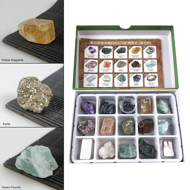 Actividad de rocas y minerales para niños: cultiva tus propios cristales  minerales DIY
