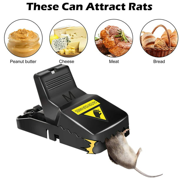 Trampa para ratones, trampas para ratas pequeñas que funcionan, trampas  para ratones con taza de cebo desmontable Atrapa-ratones seguro y eficaz  para el hogar, interior y exterior Vhermosa XWJ-A0089-1