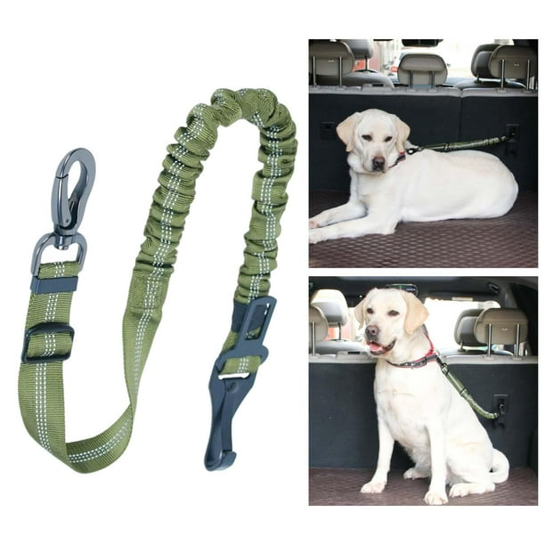 Suministros de mascotas coche de seguridad cuerda cuerda anillo tampón  cinturón de seguridad del perro cinturón de seguridad fijo