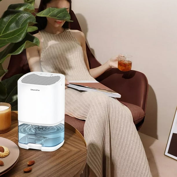 Deshumidificador de aire de 1000 ml absorbente de humedad portátil para el  hogar (blanco británico) Ndcxsfigh Libre de BPA