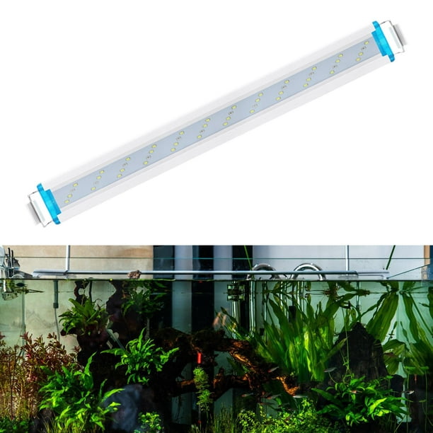 Luz LED para acuario, iluminación acuática, lámpara para pecera, luz para  de plantas, 24W 24W 48leds Yuyangstore Mini lámpara de luz de acuario