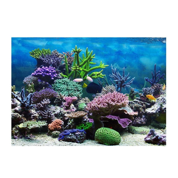 de acuario de de adhesivo estático Coral Gloria Vinilo decorativo pecera | Walmart en línea