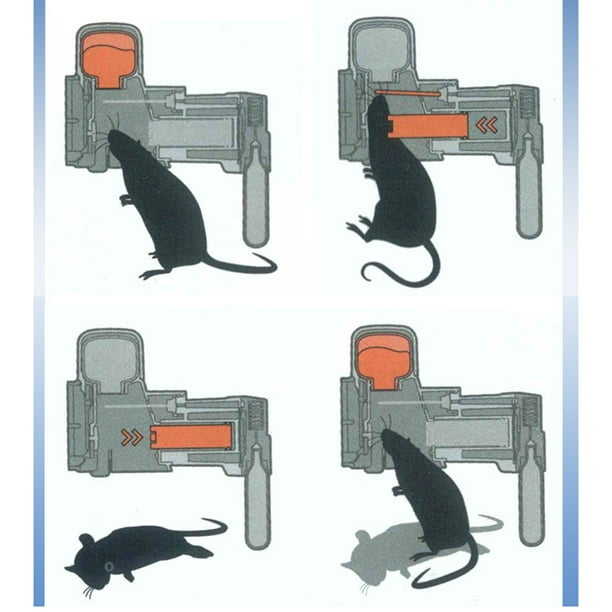 Kit de captura para el hogar A24 Trampa para ratas y ratones