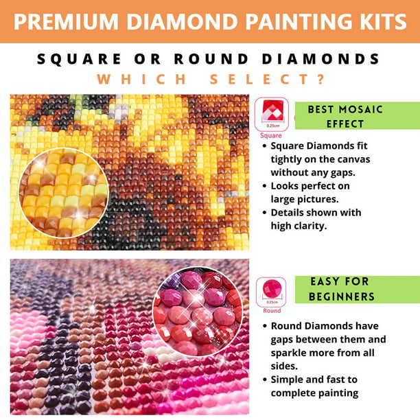 Kit Diamond Painting Pintura Diamantes 5d Flores
