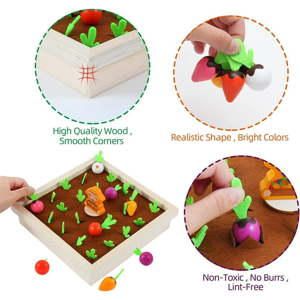 Juguetes Montessori para niños de 1, 2 y 3 años, juguetes de madera para  clasificar colores y formas | Juguetes educativos de aprendizaje para niños