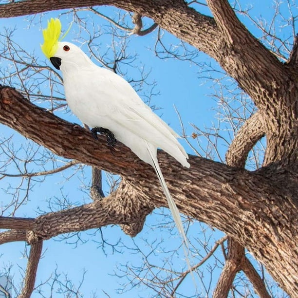 Cojín decorativo Plumas azules del loro 