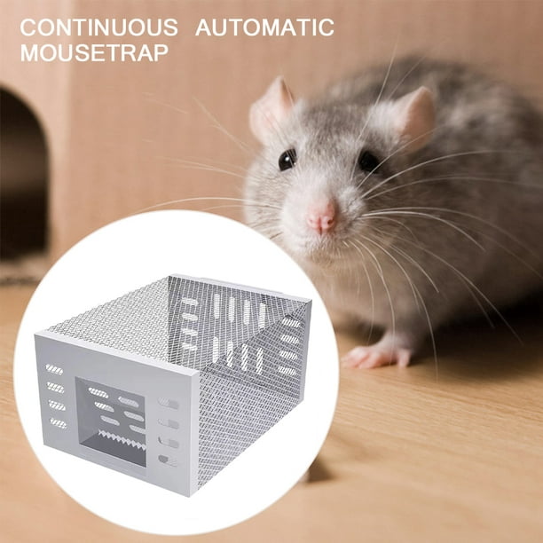 Innovación en trampas para ratones - Arumia, Control de plagas en A Coruña