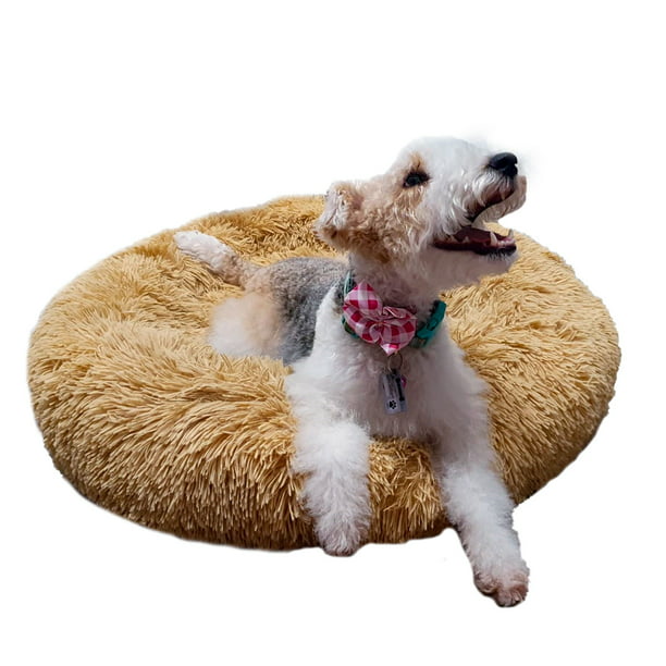 Cama para perros, cama para dormir, colchón grueso y suave con cubierta  extraíble, caja de esponja, cama para perros, cama lavable para mascotas  para Marrón M Sunnimix almohadilla para dormir