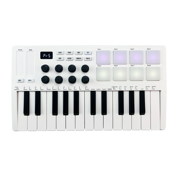 Controlador MIDI Worlde Panda Mini Portátil Mini 25 Teclas Teclado USB y  Drum Pad Controlador MIDI WORLDE Controlador MIDI
