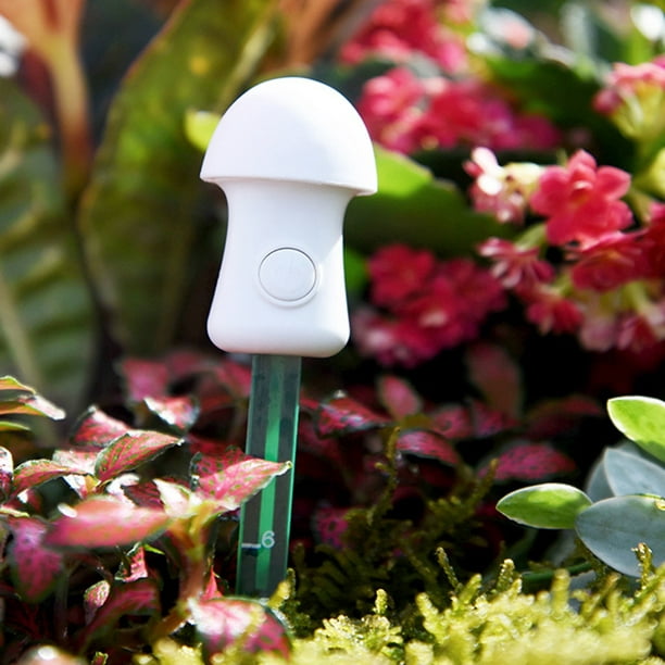 Gouevn Medidor de humedad del suelo, medidor de humedad para plantas en  interiores y exteriores, sensor de humedad higrómetro, kit de prueba de  suelo