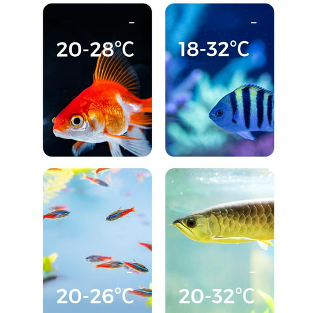 Termómetro digital LCD para acuario, termómetro de tanque de peces con  ventosa, pantalla grande, herramienta de medición de terrario de agua de