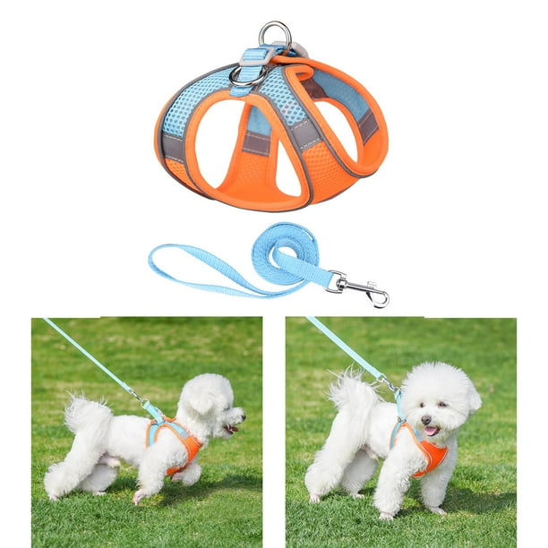 Tineer Pet Refrescante Arnés Malla de Verano Perro para Caminar Chaleco  Fresco Arnés Ajustable para Perros pequeños/medianos/Grandes Correr Dentro  o al Aire Libre, Caminar, Escalar montañas (XS) : : Productos para  mascotas