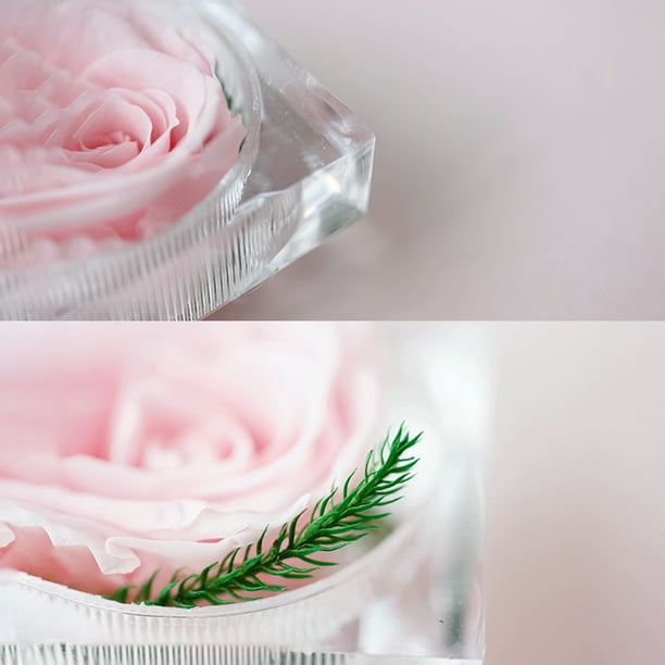 Flor de rosa real preservada en caja transparente Rosa eterna Perfumada p  yeacher estándar