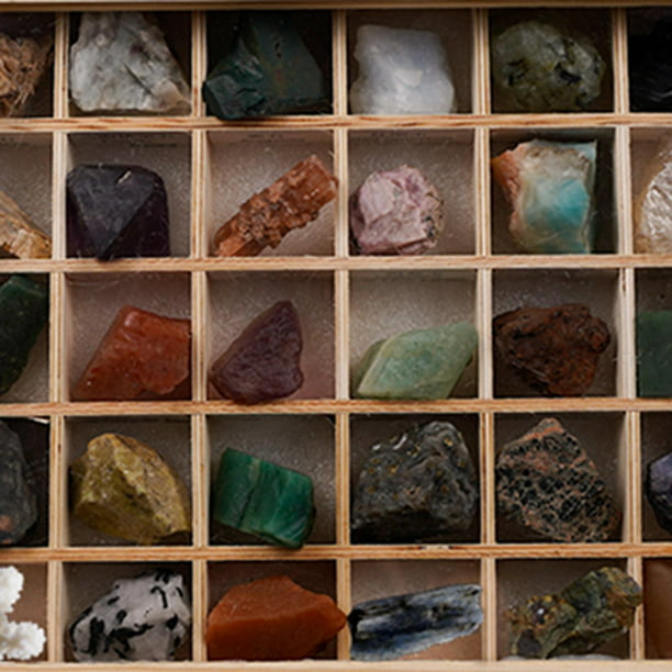 XXTOYS Minerales Piedras Preciosas Colección, Caja de 25 Rocas