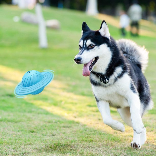 Saolife Juguetes interactivos para perros, juguetes para perros activados  por movimiento, bola malvada, juguetes de bola móvil automática para  perros