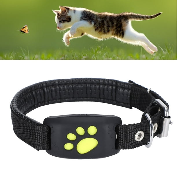 Xiaomi-localizador GPS para mascotas, buscador de Collar para perros,  antipérdida, inteligente, multifuncional, Universal, impermeable -  AliExpress