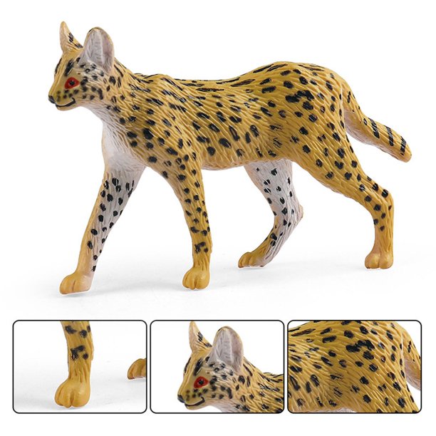 NUOBESTY 4 Pcs Modelo De Gato Estatuetas De Mini Gato Jogo De Figuras De  Gato Estatueta De Gato Realista Esculturas Realistas De Gatos Miniaturas  Copo Pequeno Filho Abdômen Gato Sortudo