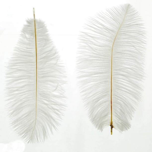 Plumas Avestruz Blanco Manualidades Decorar 20-25cm Mylin 2p