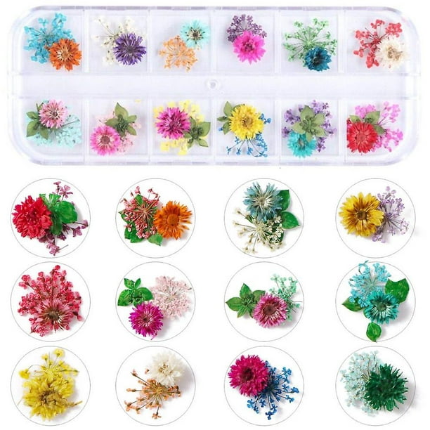 Audab - 6 cajas de flores secas para arte de uñas, 190 piezas de flores  secas de uñas, mini flores de resina para decoración de uñas