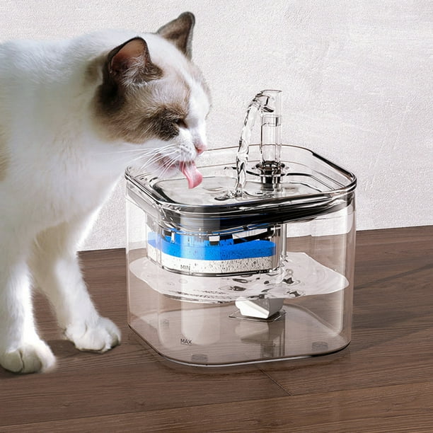 Lankey Fuente de agua para gatos, fuente para gatos, bomba transparente  automática cuadrada de 74oz, adaptador de Sensor inteligente para gatos,  cachorros, animales en interiores Lankey Fuente de agua para gatos