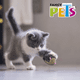 thumbnail image 4 of Fancy Pets Juguete Catch con Forma de Erizo que Vibra para Gato Contiene 1 Pieza Fancy Pets FL9431, 4 of 6