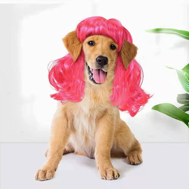 Divertida peluca de cosplay para perros y gatos, pelucas para