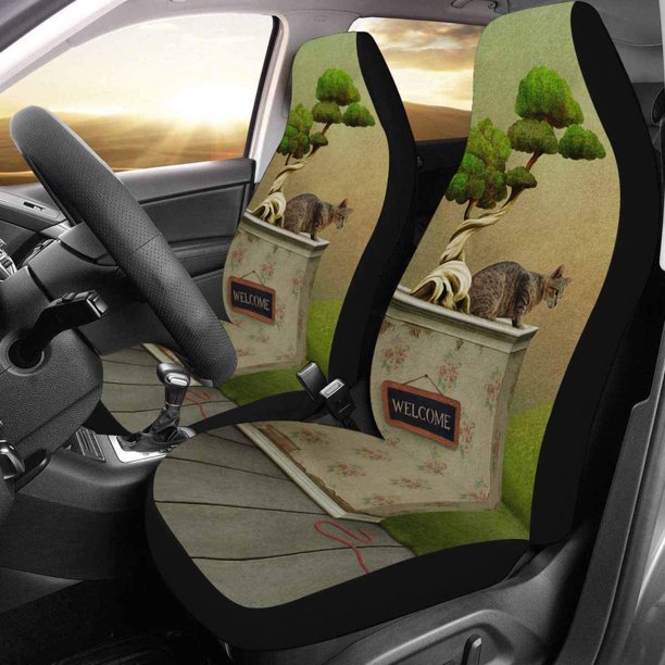 Protector plástico para respaldo de asiento de coche, juego de 2