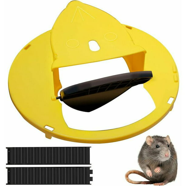 Trampas Para Ratas De Cubo Humano, Trampa Para Ratones De Tablón